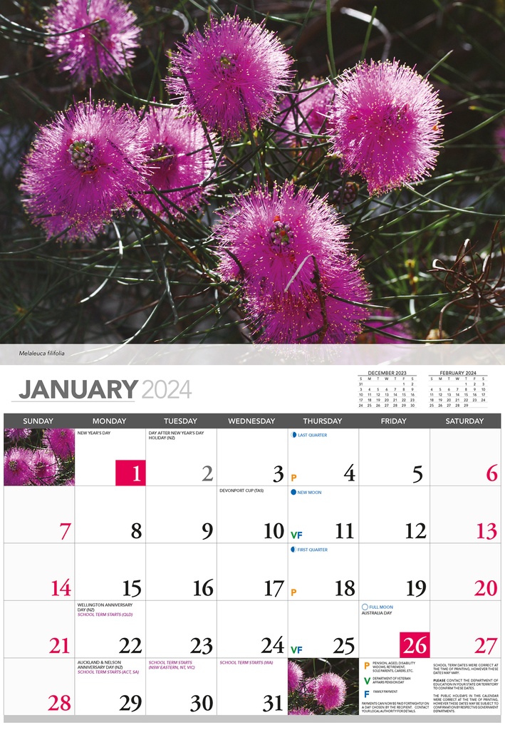 Wildflowers Of Australia 2025 Calendar Ryft